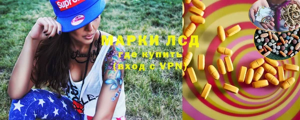 дурь Богданович