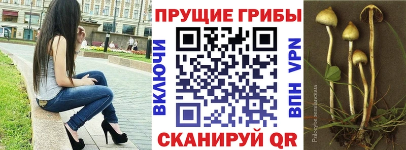Галлюциногенные грибы Cubensis  Купить  Троицк 